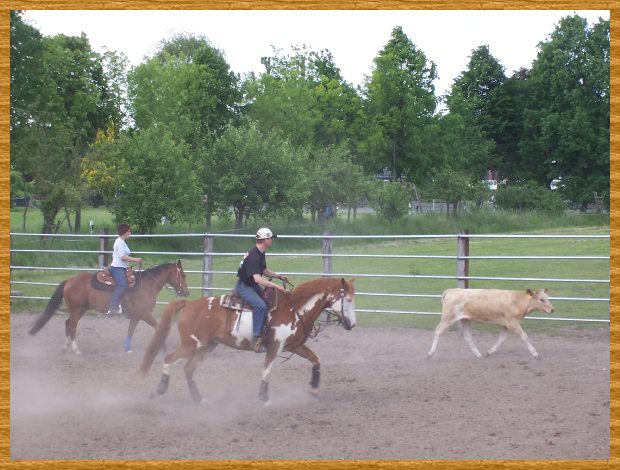 Bild 098