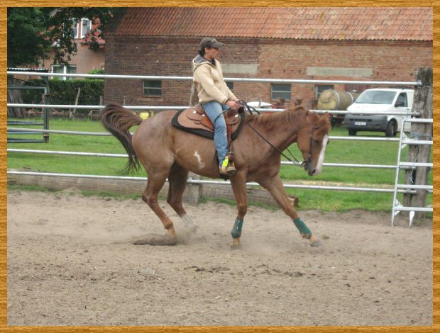 Bild 298