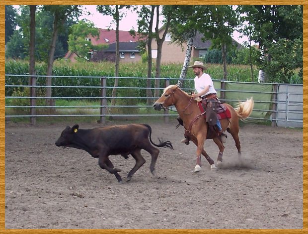 Bild 324