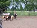 Bild 004