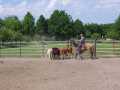 Bild 015
