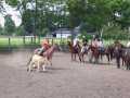Bild 037