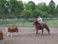 Bild 046