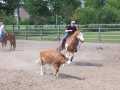 Bild 053