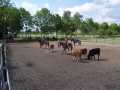 Bild 056
