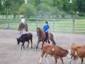 Bild 082
