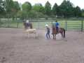 Bild 094