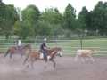 Bild 098