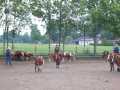 Bild 169