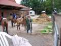 Bild 191