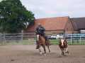 Bild 203
