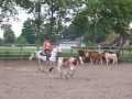 Bild 241
