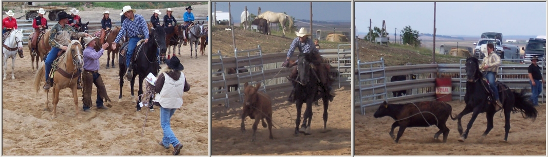 Rodeo Twin 'S Ranch