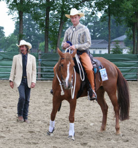 Reining Reining