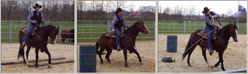 Showvorfhrung auf der Montana Ranch