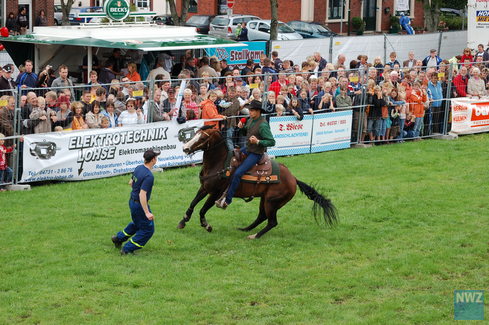 Ochsenrennen Wesermarsch 2008