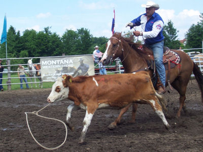 Breakaway Calf Roping