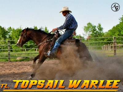 Topsi beim Stop